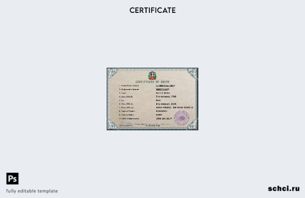 Скачать цифровую версию PSD шаблона свидетельства о смерти Доминиканской Республ
